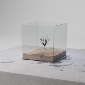 蒙古姑娘二免费播放
