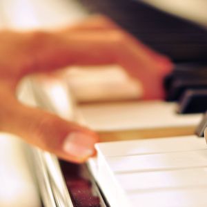 蒙古姑娘二免费播放
