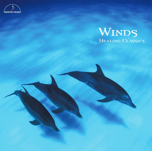 蒙古姑娘二免费播放
